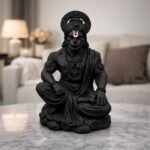 Lord Hanuman - Image 5 - OmRoots